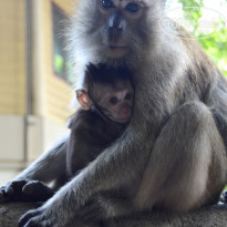 фото из отзыва ID 1391735