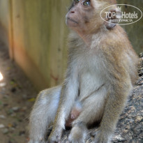 фото из отзыва ID 1391735