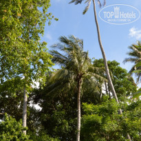 фото из отзыва ID 1391735