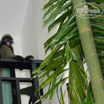 фото из отзыва ID 1391735