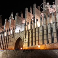 фото из отзыва ID 1391766