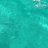 фото из отзыва ID 1391766