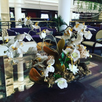 фото из отзыва ID 1391785