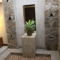 фото из отзыва ID 1391842