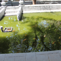 фото из отзыва ID 1391842