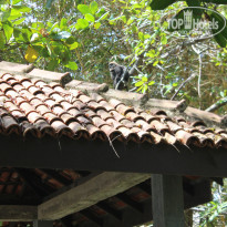 фото из отзыва ID 1391842