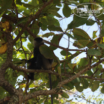 фото из отзыва ID 1391842