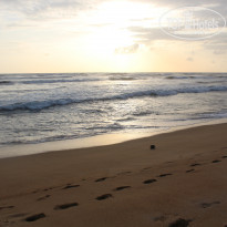 фото из отзыва ID 1391842