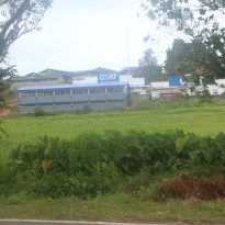 фото из отзыва ID 1391842