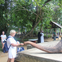 фото из отзыва ID 1391842