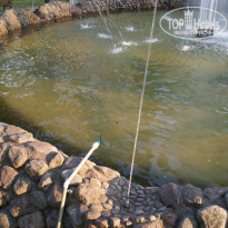 фото из отзыва ID 1391853