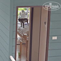 фото из отзыва ID 1391895