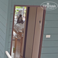 фото из отзыва ID 1391895