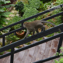 фото из отзыва ID 1391895