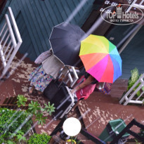 фото из отзыва ID 1391895