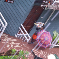 фото из отзыва ID 1391895