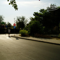 фото из отзыва ID 1392039