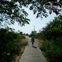 фото из отзыва ID 1392039