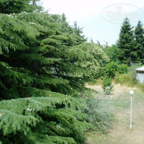 фото из отзыва ID 1392039