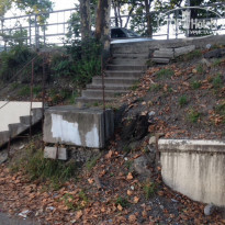 фото из отзыва ID 1392132