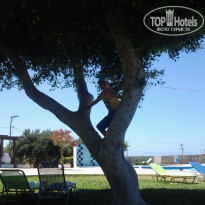 фото из отзыва ID 1392255