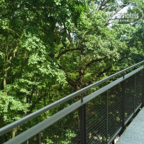 фото из отзыва ID 1392253