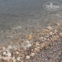 фото из отзыва ID 1392347