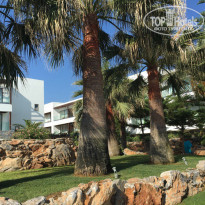 фото из отзыва ID 1392350