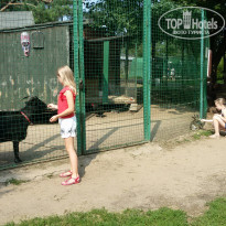 фото из отзыва ID 1392394