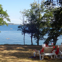 фото из отзыва ID 1392416