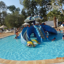 фото из отзыва ID 1392434