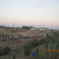 фото из отзыва ID 1392447