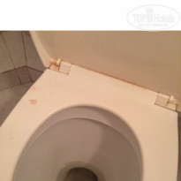 фото из отзыва ID 1392492