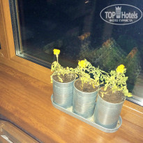 фото из отзыва ID 1392337