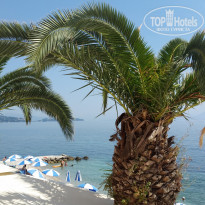 фото из отзыва ID 1392554