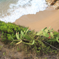 фото из отзыва ID 1392597