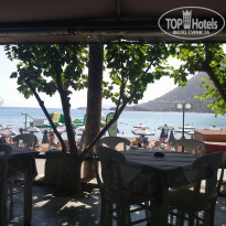 фото из отзыва ID 1392694