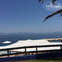 фото из отзыва ID 1392786