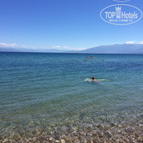 фото из отзыва ID 1392786