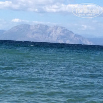 фото из отзыва ID 1392786