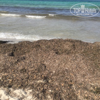 фото из отзыва ID 1392799