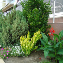 фото из отзыва ID 1392829