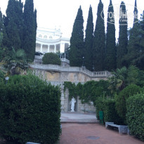 фото из отзыва ID 1392886