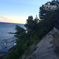 фото из отзыва ID 1392886