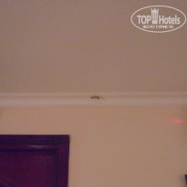 фото из отзыва ID 1392908