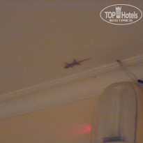 фото из отзыва ID 1392908