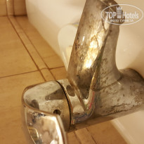 фото из отзыва ID 1392945