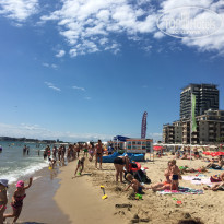 фото из отзыва ID 1393025