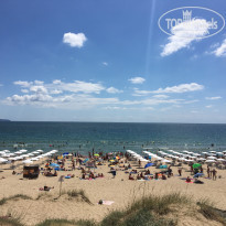 фото из отзыва ID 1393025