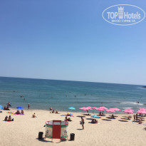 фото из отзыва ID 1393025